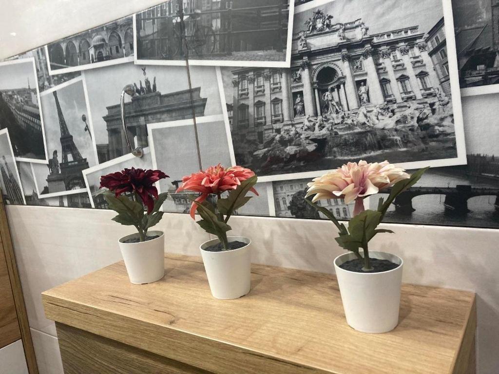 Apartament Tuz Za Rogiem Zamku Malbork Dış mekan fotoğraf